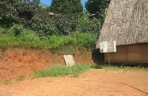 A thatched-roof building stands next to a grassy area and a dirt path, with dense green foliage in the background. A piece of wood leans against a grassy embankment.