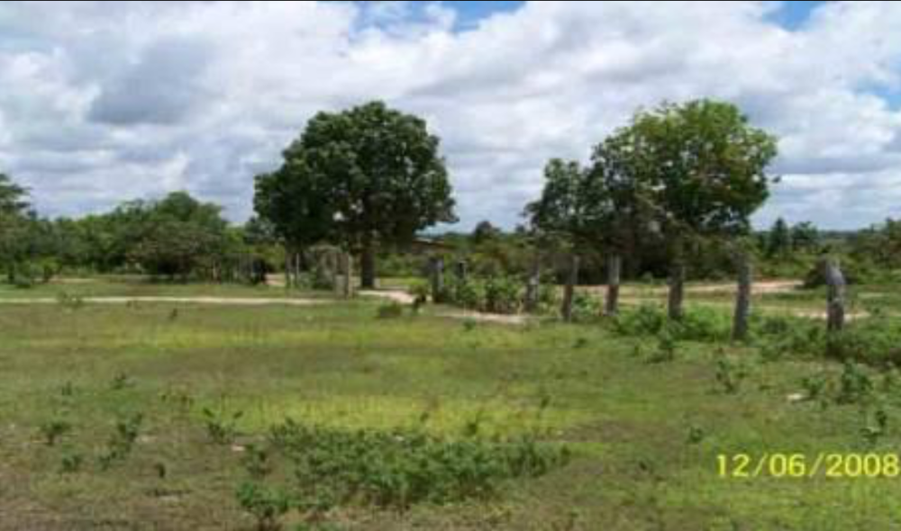 An open grassy field with scattered trees under a partly cloudy sky. A dirt path lines the horizon. Image dated 12/06/2008.