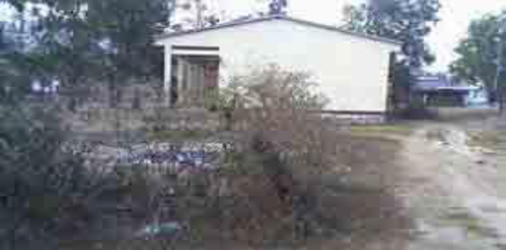 A small, single-story white house with a front porch, surrounded by dry vegetation and trees, sits next to a dirt path under an overcast sky.