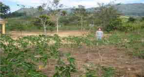 A person stands in a sparse field with some small plants and trees, with a mountainous landscape in the background.