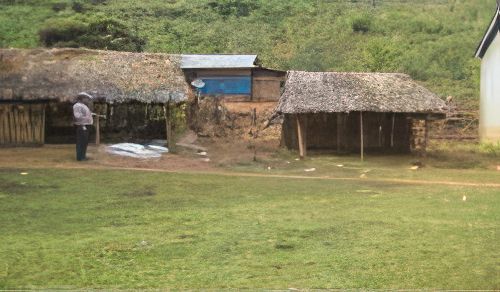 Two thatched roof huts and a small building are situated on a grassy area with one person standing nearby, set against a backdrop of greenery.