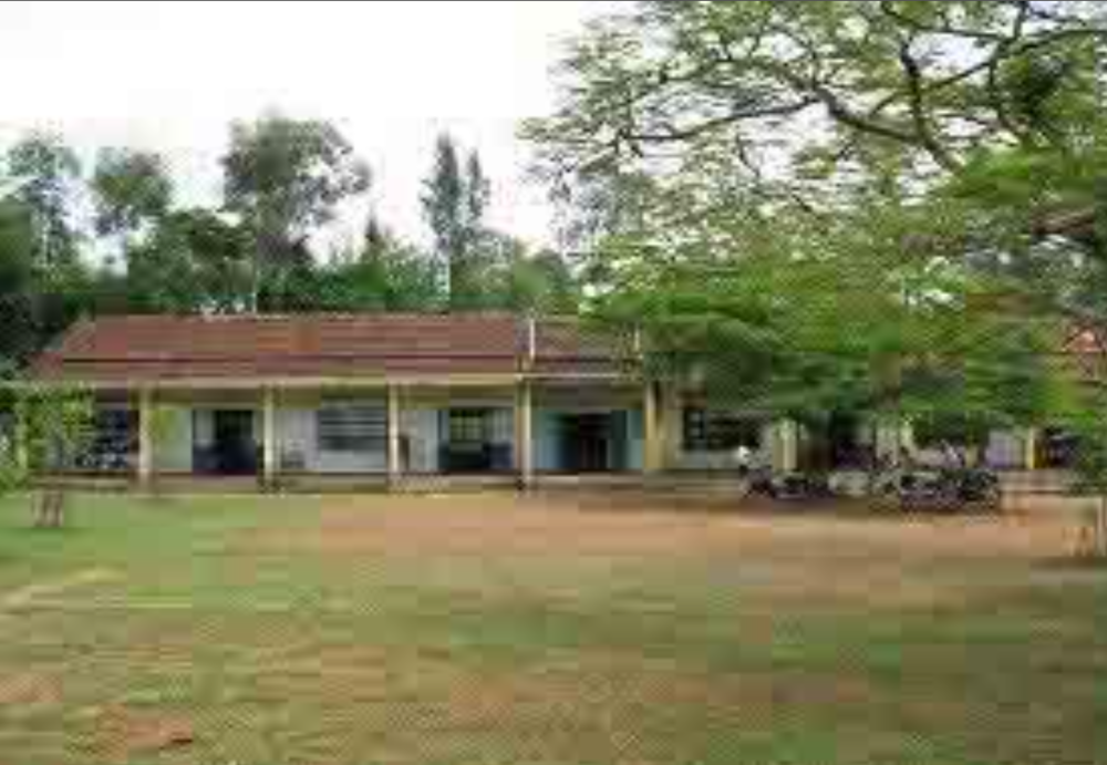 A single-story building with a red roof surrounded by trees, featuring a spacious front yard.