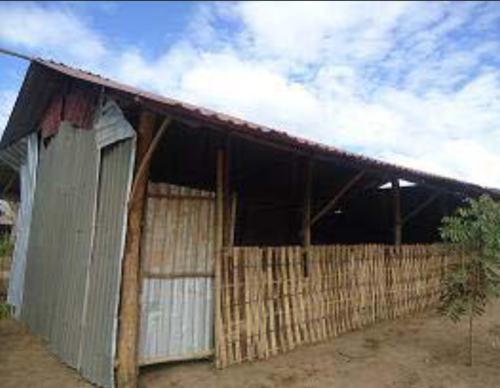 A wooden structure with a slanted roof, partially enclosed by a mix of corrugated metal and bamboo walls, stands on a dirt ground under a partly cloudy sky.