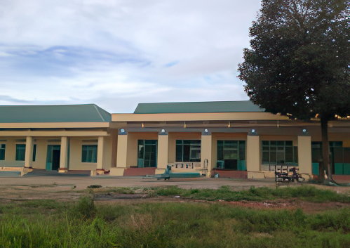 Single-story building with yellow walls and a green roof, featuring multiple doorways and steps leading to entrances, situated beside a grassy area and a tree on the right.