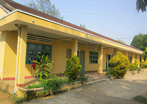 A yellow single-story building with a red-tiled roof and green doors and windows, surrounded by plants and bushes.